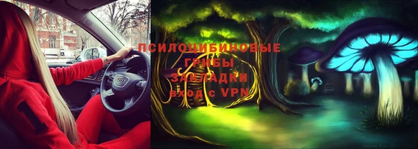 мескалин Инсар